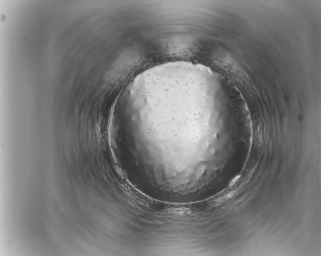 X0000060260424200511010918