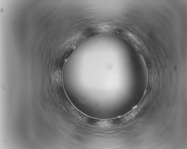 X0000060260425200511010918