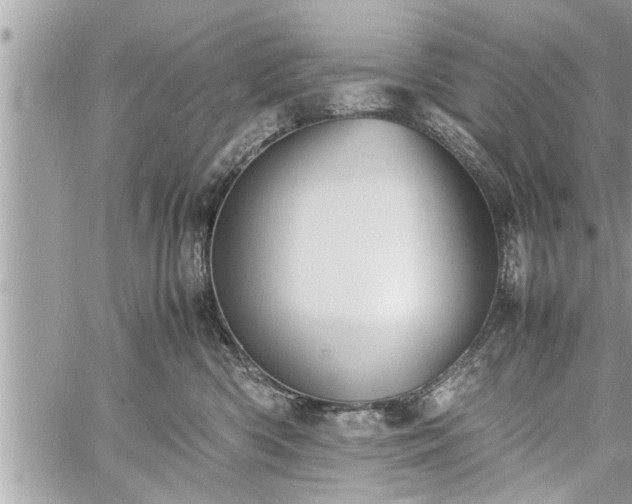 X0000060260426200511010918