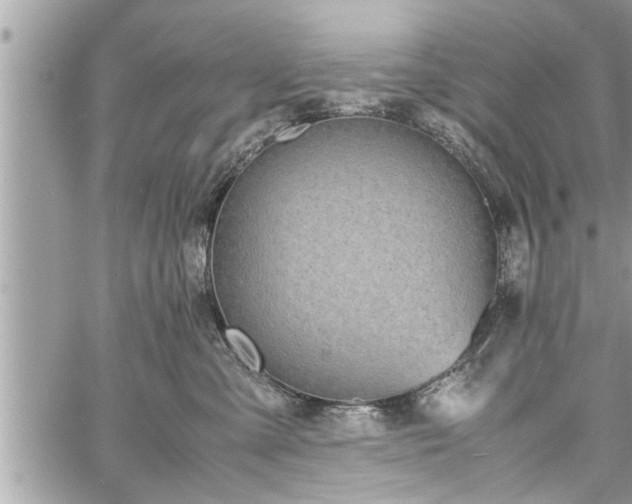 X0000060260427200511010918