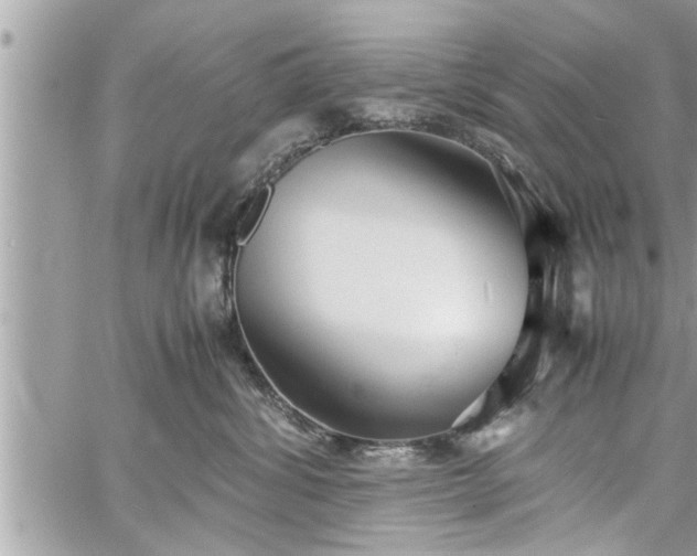 X0000060260428200511010918