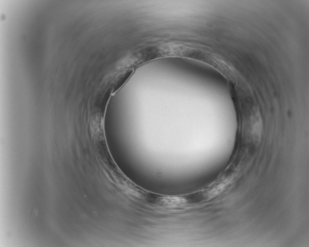 X0000060260429200511010918