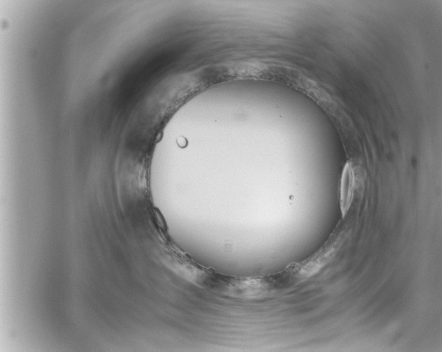 X0000060260431200511010918