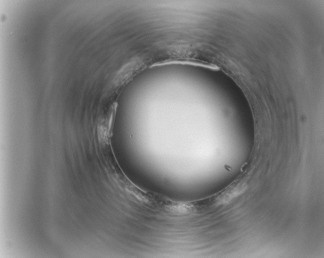 X0000060260432200511010918