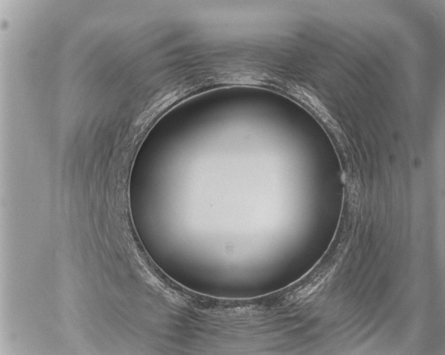 X0000060260433200511010917