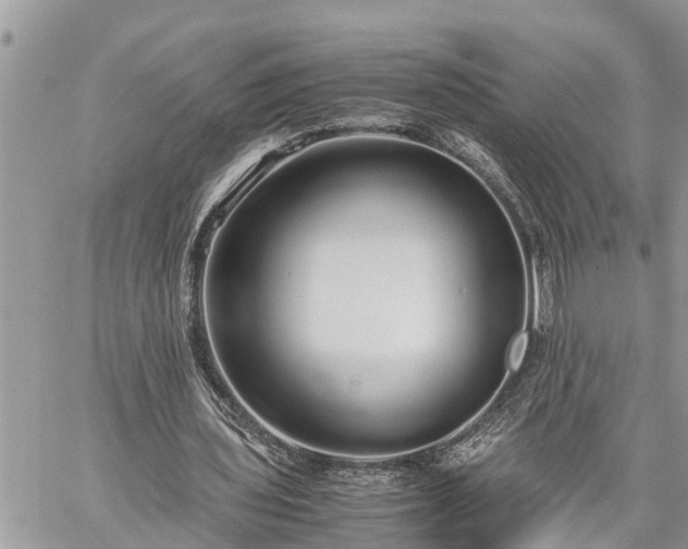 X0000060260435200511010917