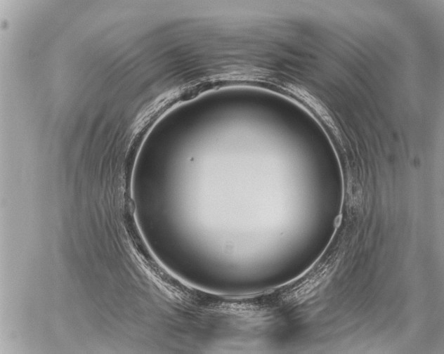 X0000060260437200511010917