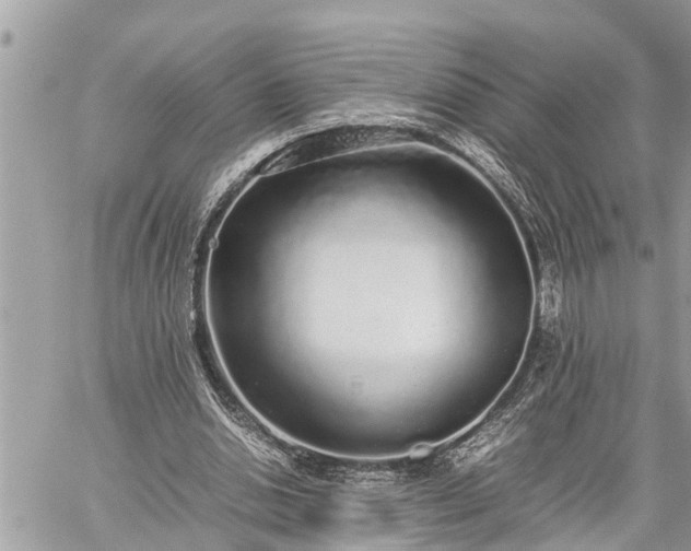 X0000060260438200511010917