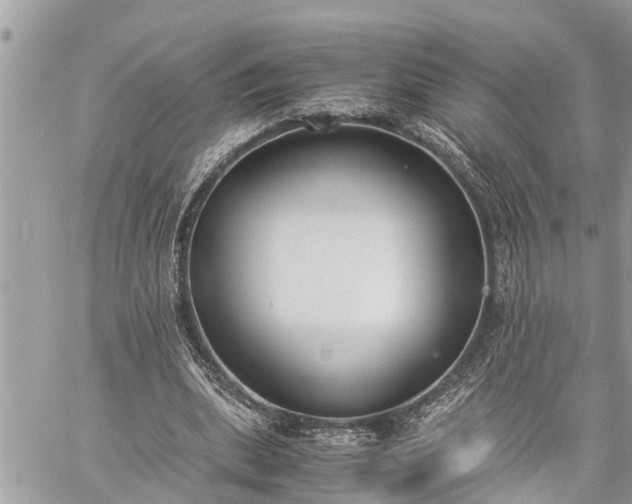 X0000060260439200511010917