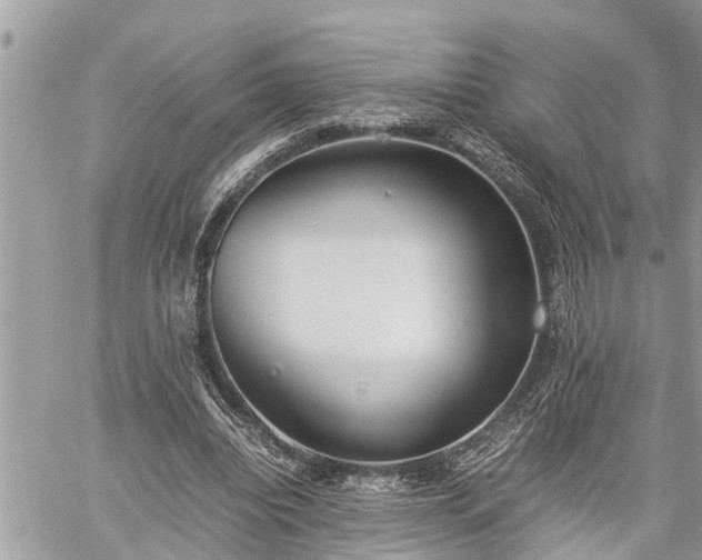 X0000060260440200511010917