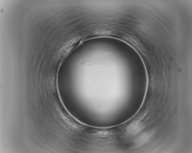 X0000060260441200511010917