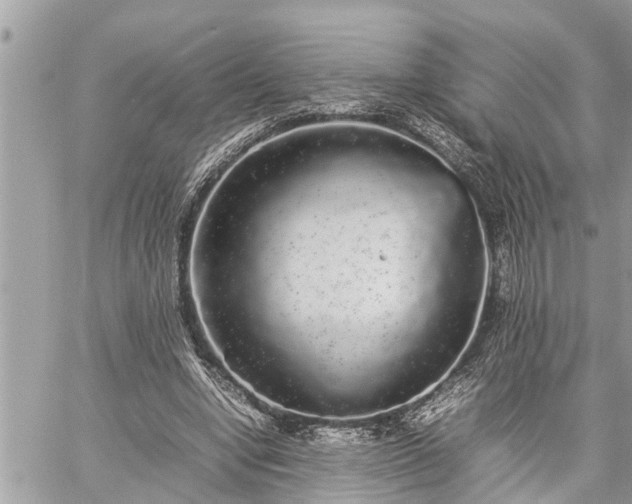 X0000060260442200511010917