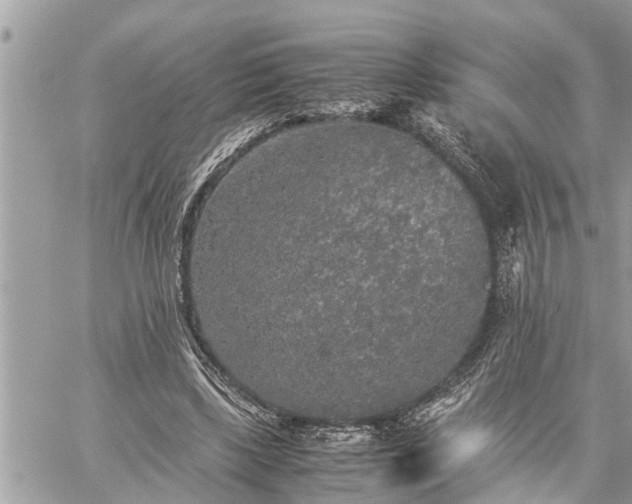 X0000060260443200511010917