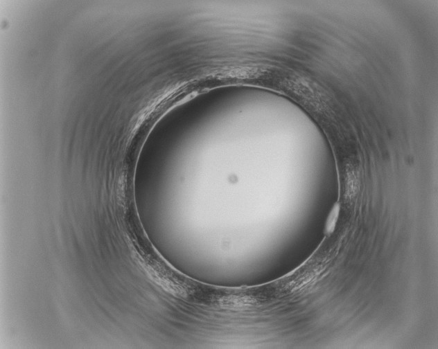 X0000060260444200511010917