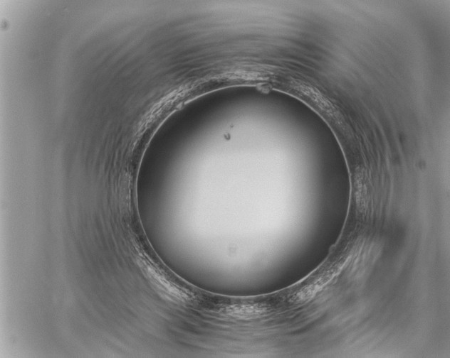 X0000060260445200511010917