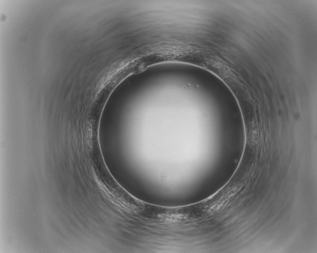 X0000060260448200511010917