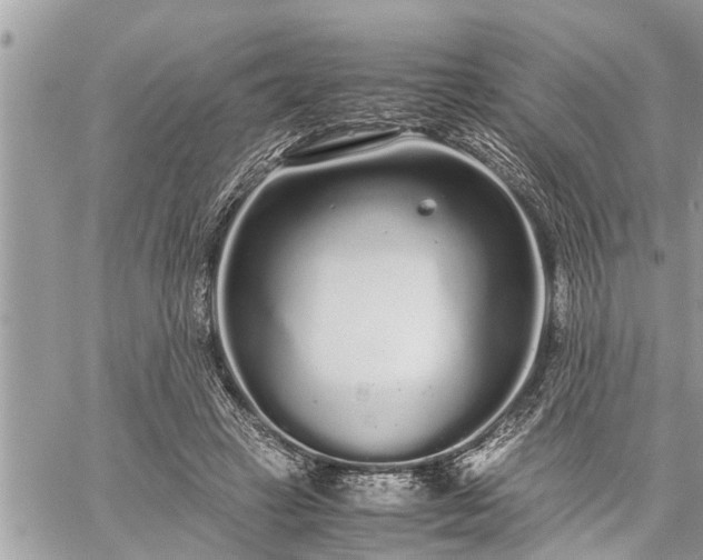 X0000060260449200511010917