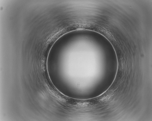 X0000060260450200511010917