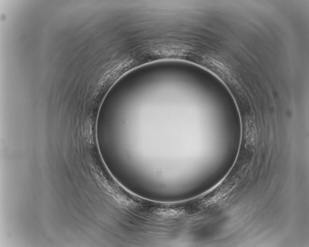 X0000060260453200511010917