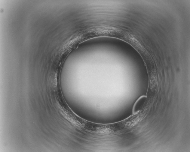 X0000060260454200511010917