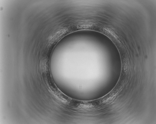 X0000060260455200511010917