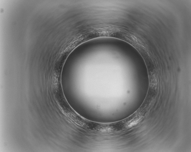 X0000060260456200511010917