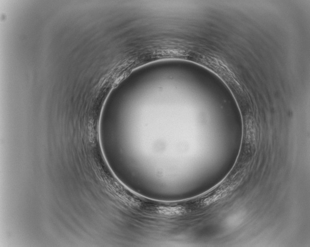 X0000060260457200511010917