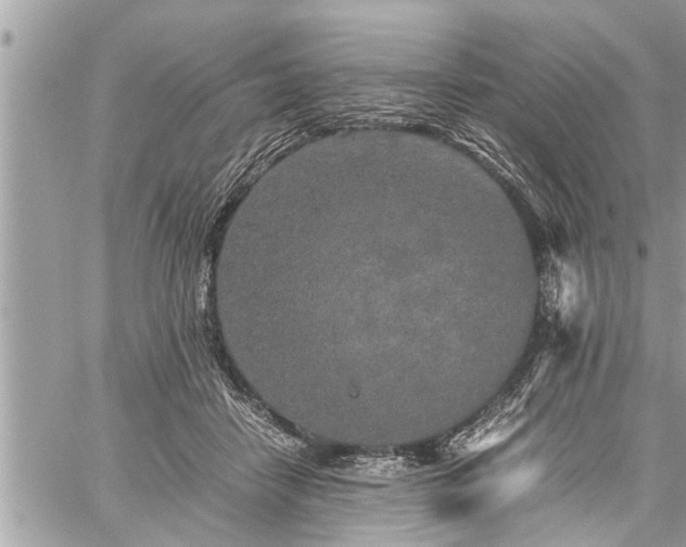 X0000060260458200511010917