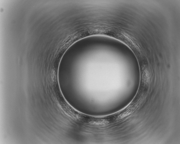 X0000060260459200511010917