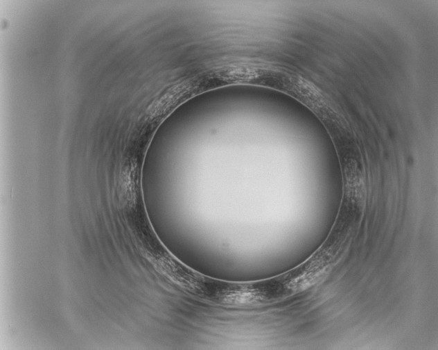 X0000060260460200511010917