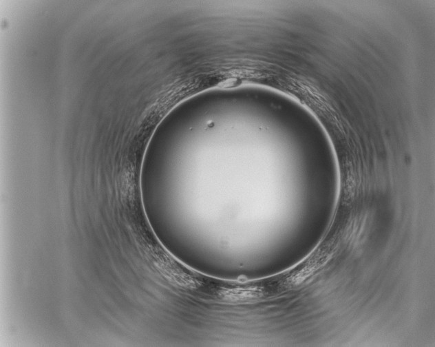 X0000060260461200511010917