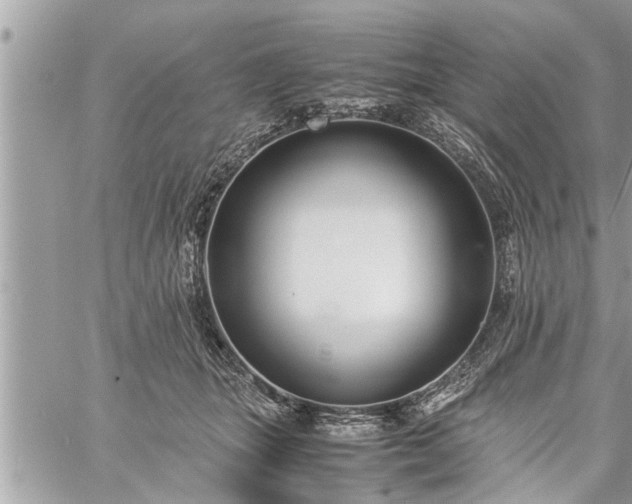 X0000060260463200511010917