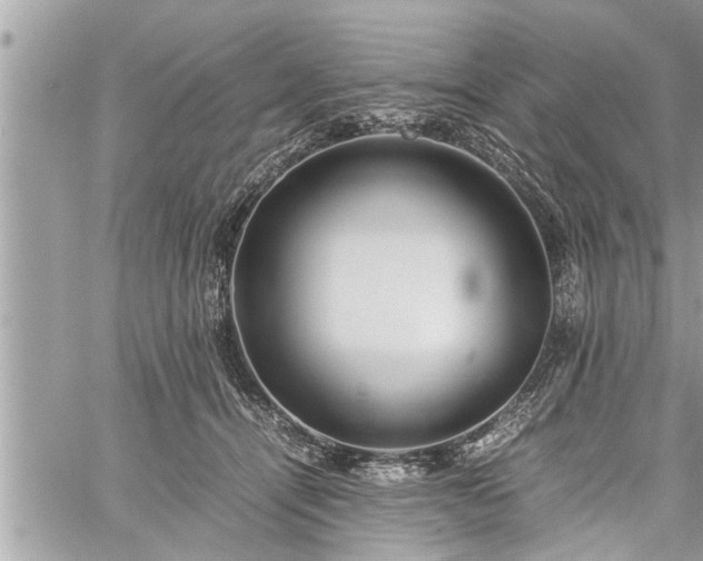 X0000060260464200511010917