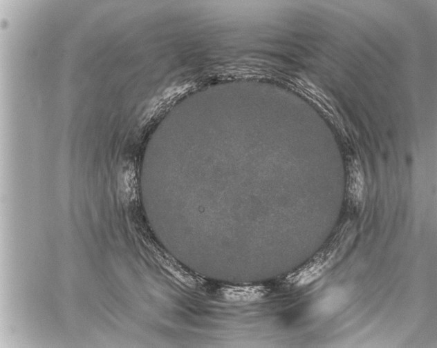 X0000060260465200511010917