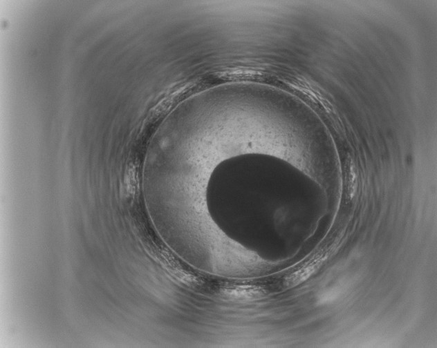 X0000060260467200511010917