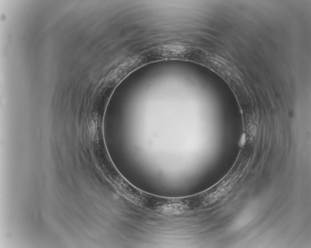 X0000060260468200511010917