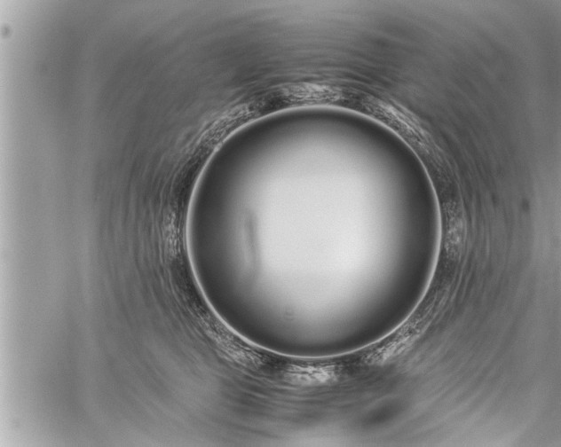 X0000060260469200511010917