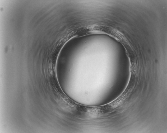 X0000060260470200511010917