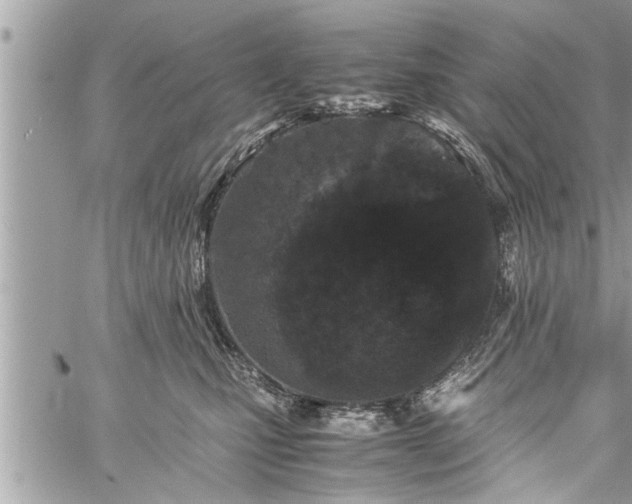 X0000060260471200511010917