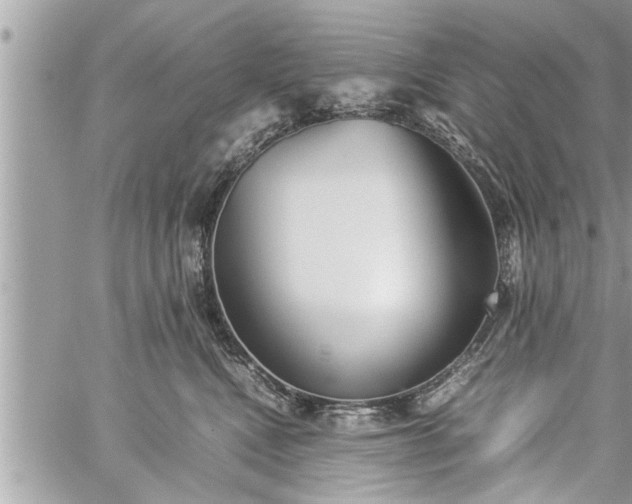 X0000060260472200511010917