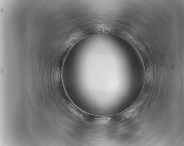 X0000060260474200511010917