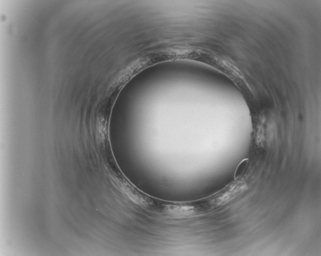 X0000060260476200511010917