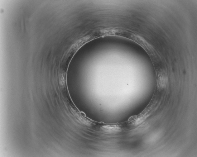 X0000060260477200511010918