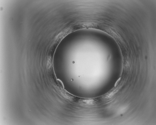 X0000060260478200511010918