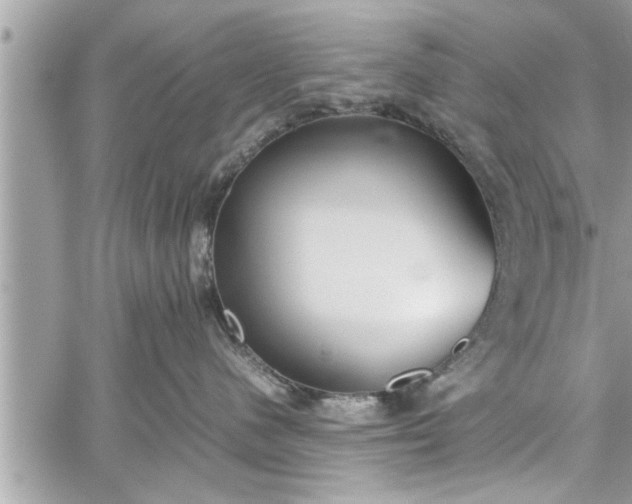 X0000060260480200511010918