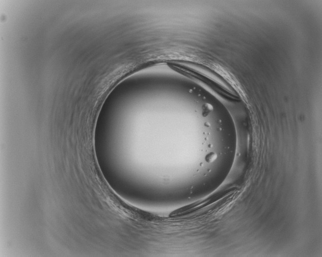 X0000060260481200511010917