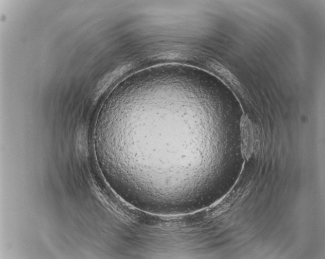 X0000060260482200511010917