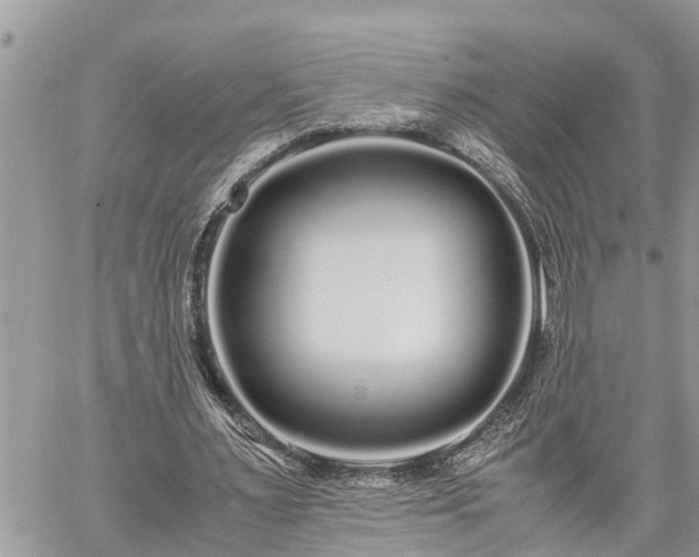 X0000060260483200511010917