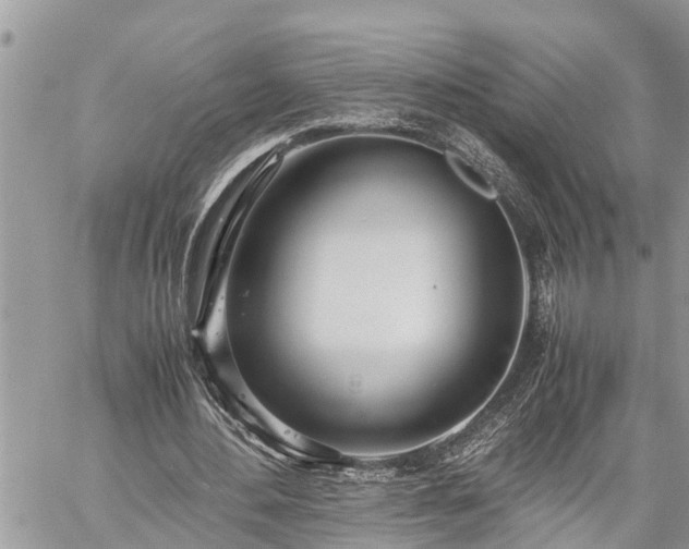 X0000060260484200511010917