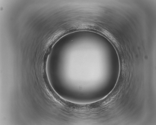 X0000060260485200511010917